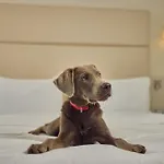 Hotel Doubletree By Hilton Schweizerhof 4*