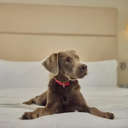 Hotel Doubletree By Hilton Schweizerhof 4*