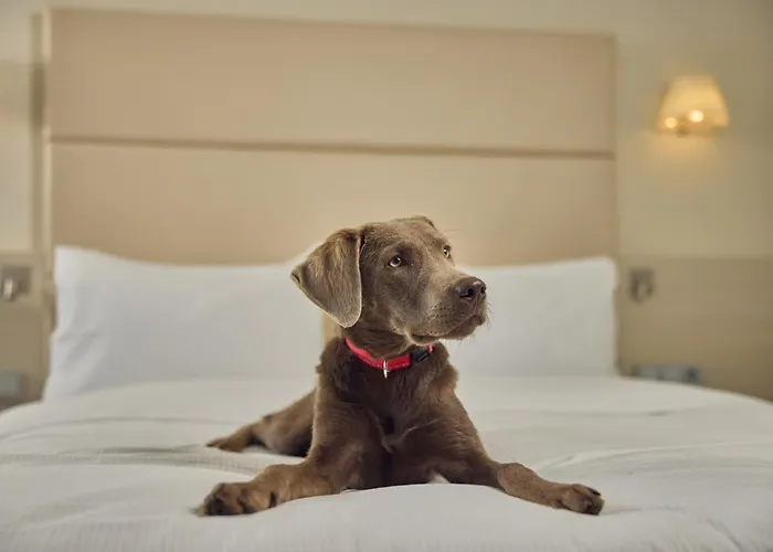 Отель Doubletree By Hilton Schweizerhof 4*